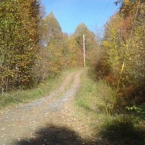 Meet your Posher, Raymond